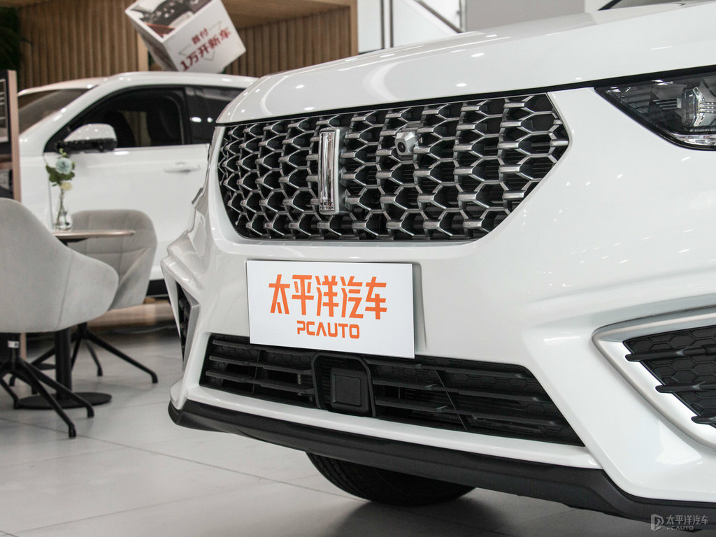 雪域白魏牌 VV5車頭外觀圖片