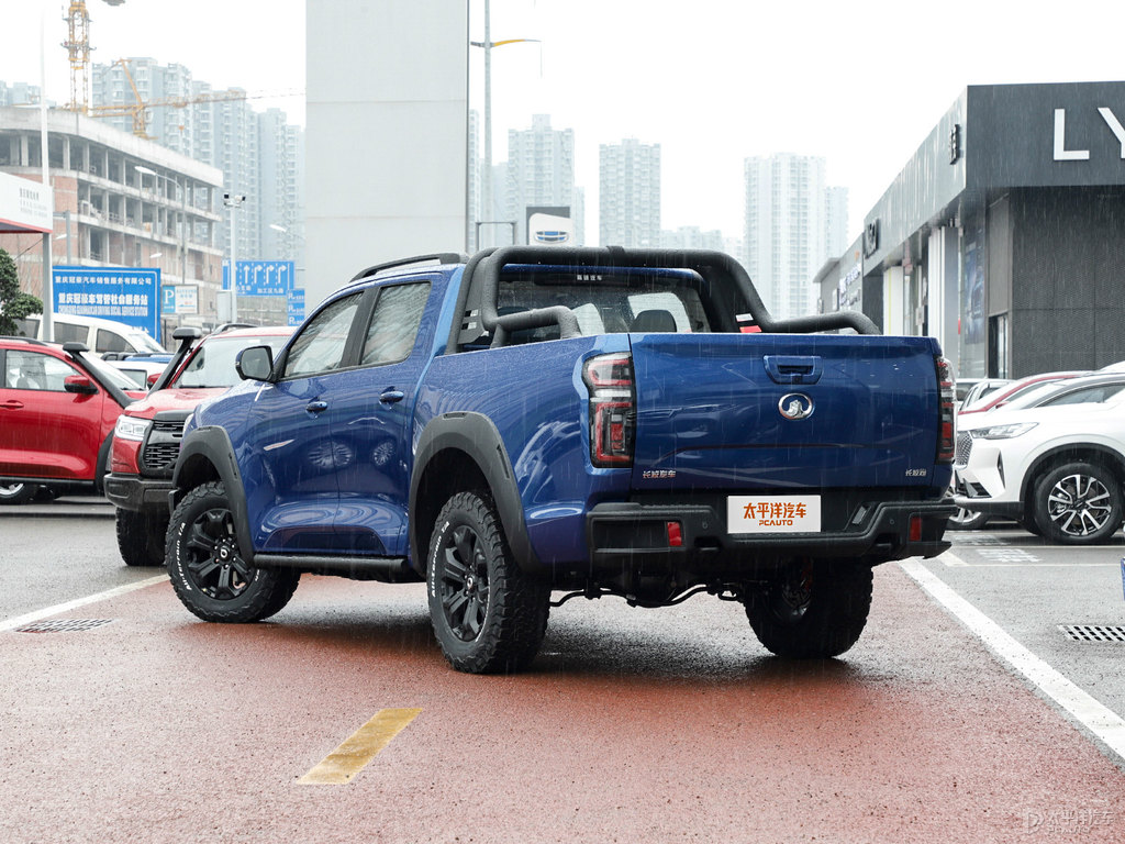 施華洛藍(lán)炮整車外觀外觀圖片