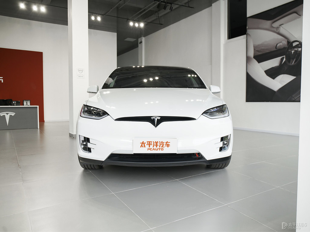 珍珠白Model X整車外觀外觀圖片