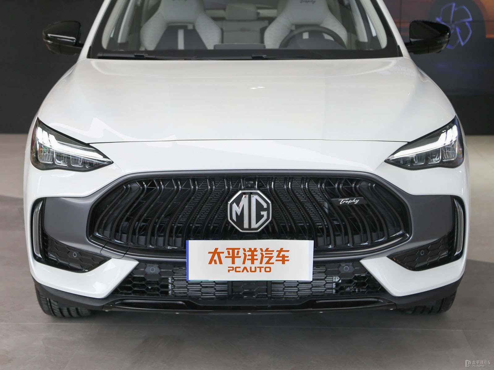MG領(lǐng)航新能源外觀高清大圖