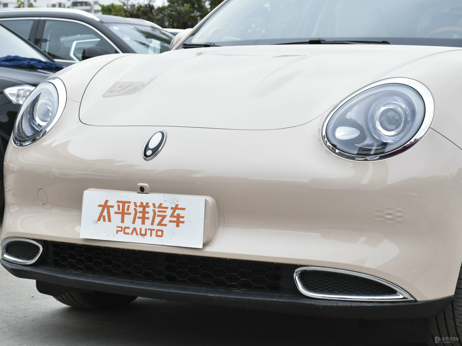 歐拉好貓外觀高清大圖