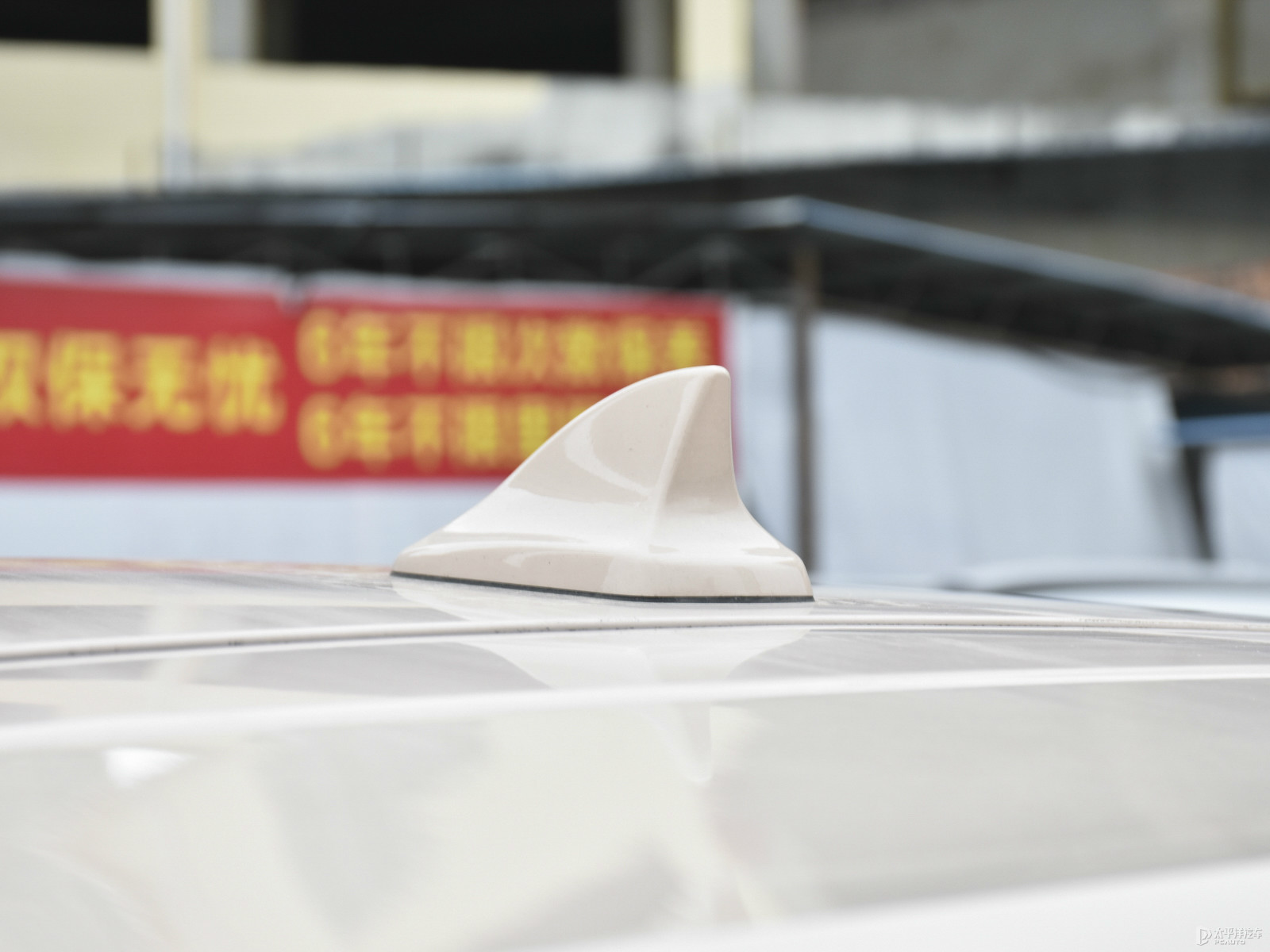 歐拉好貓外觀高清大圖