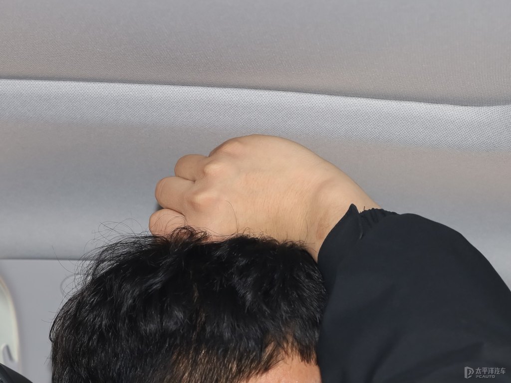 橄欖棕途勝L駕乘空間空間圖片