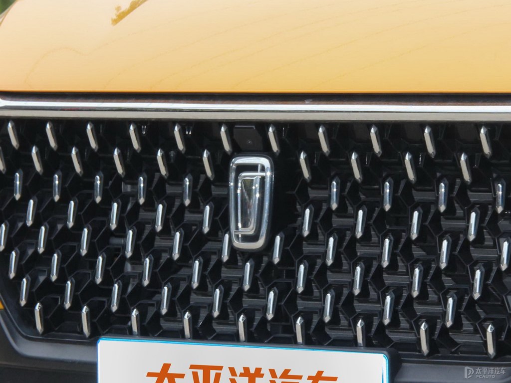 斯木黃奔騰T77車頭外觀圖片