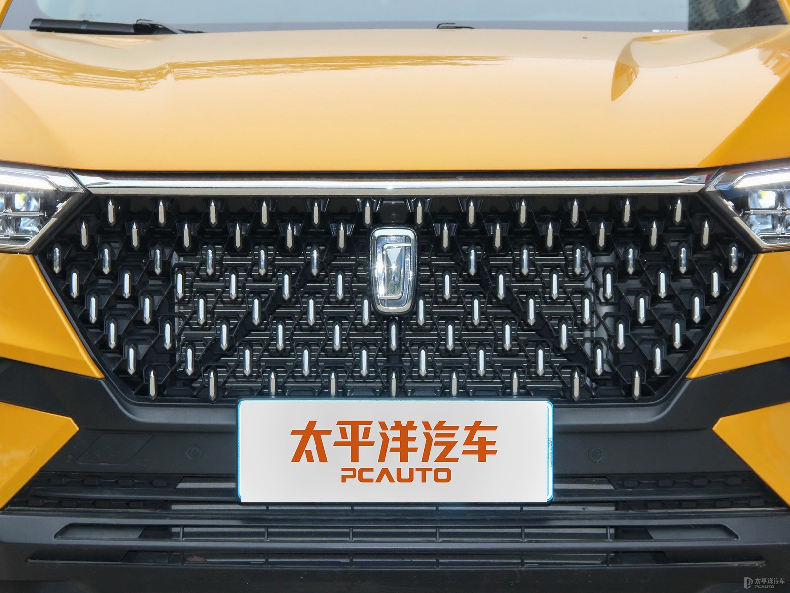 奔騰T77外觀高清大圖