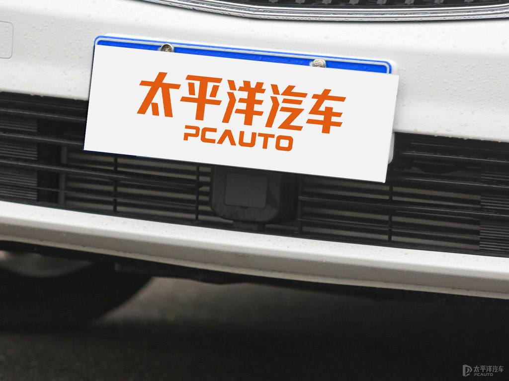 冰晶白帝豪GL車(chē)頭外觀圖片