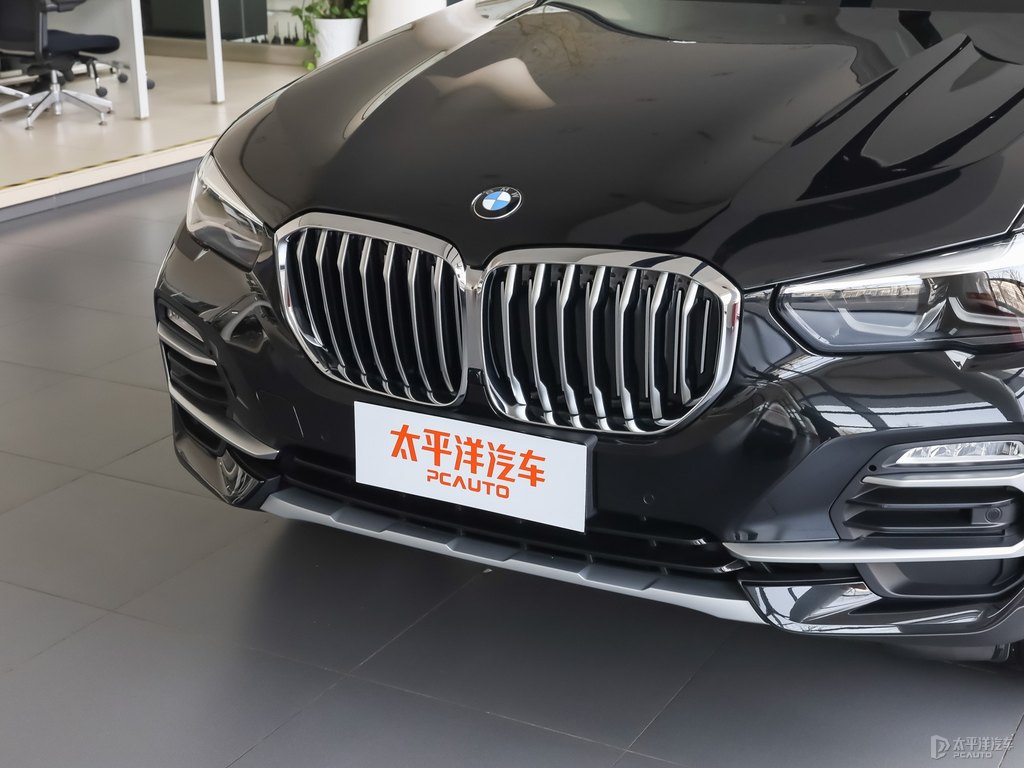寶馬X5(進(jìn)口)車頭外觀圖片