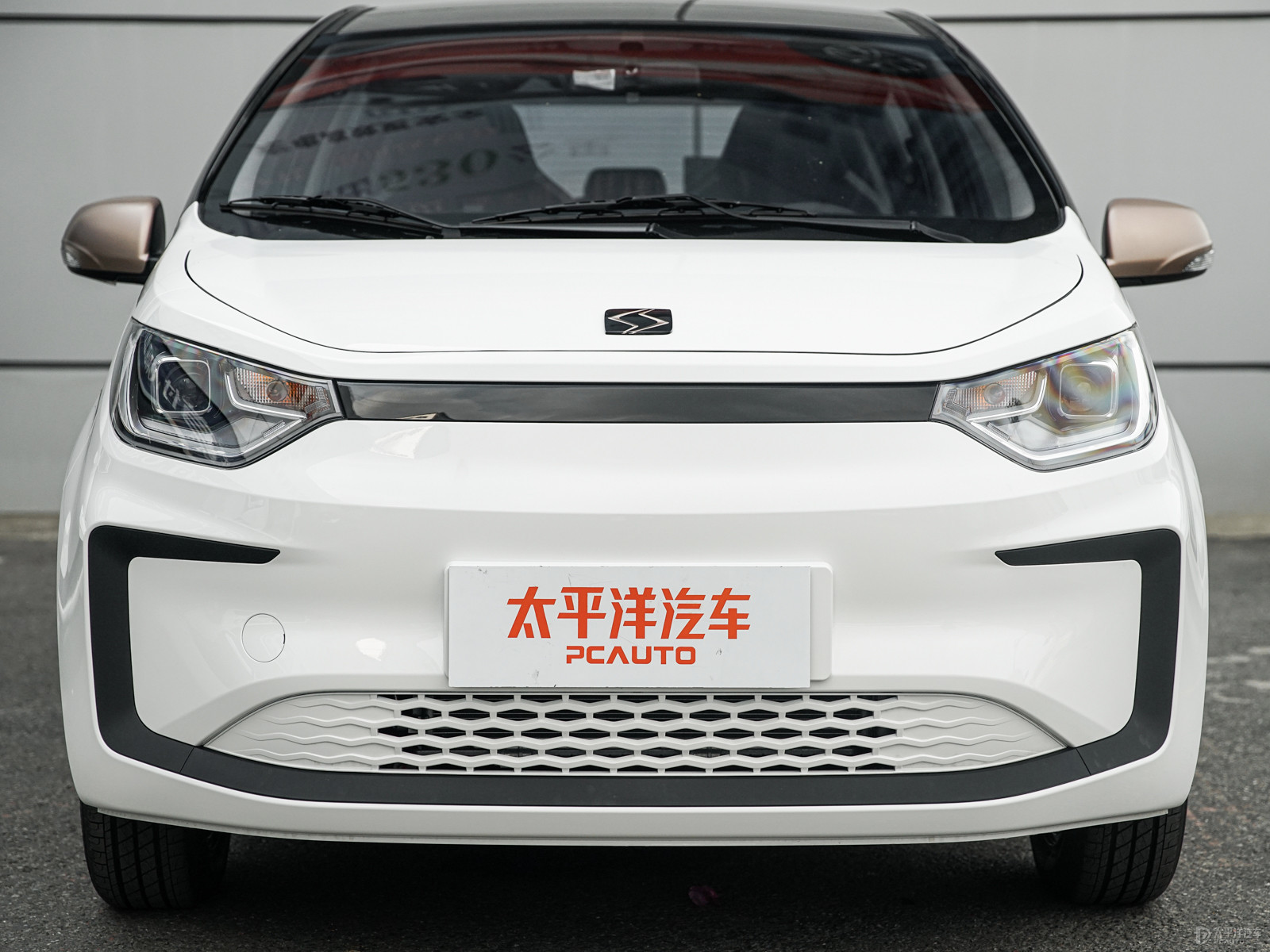 思皓花仙子外觀高清大圖