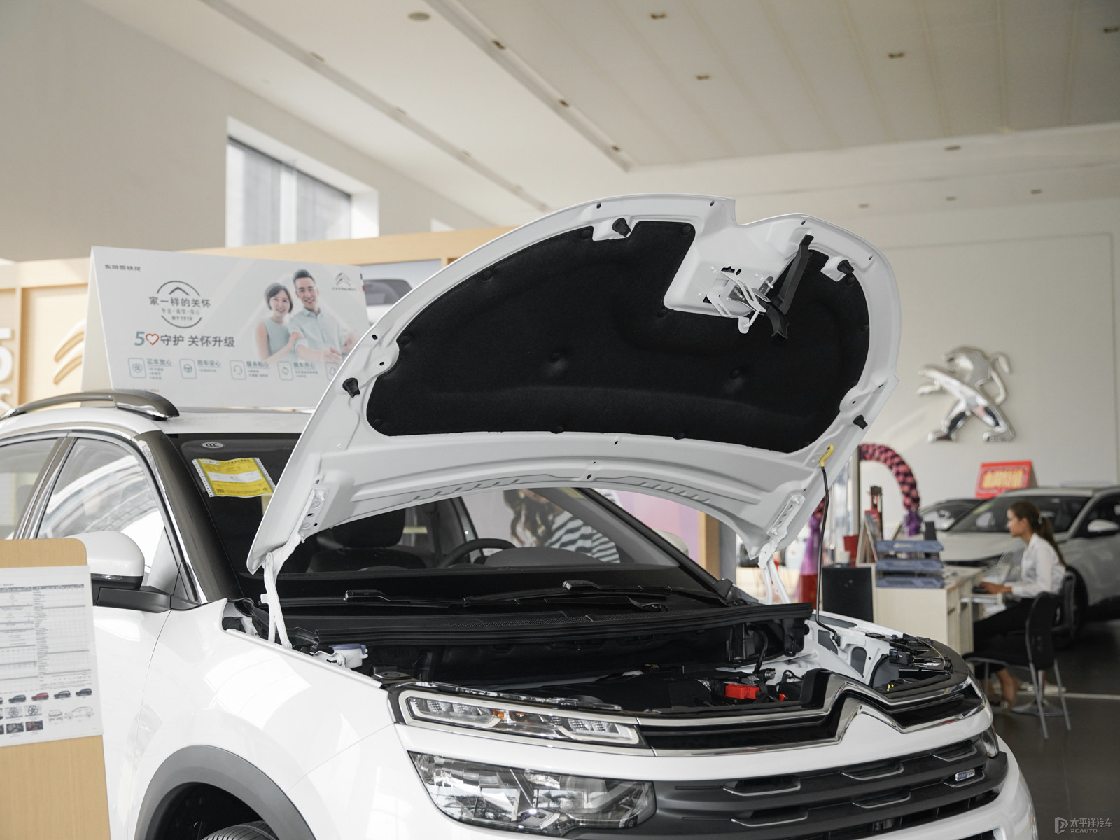 天逸 C5 AIRCROSS細節(jié)高清大圖