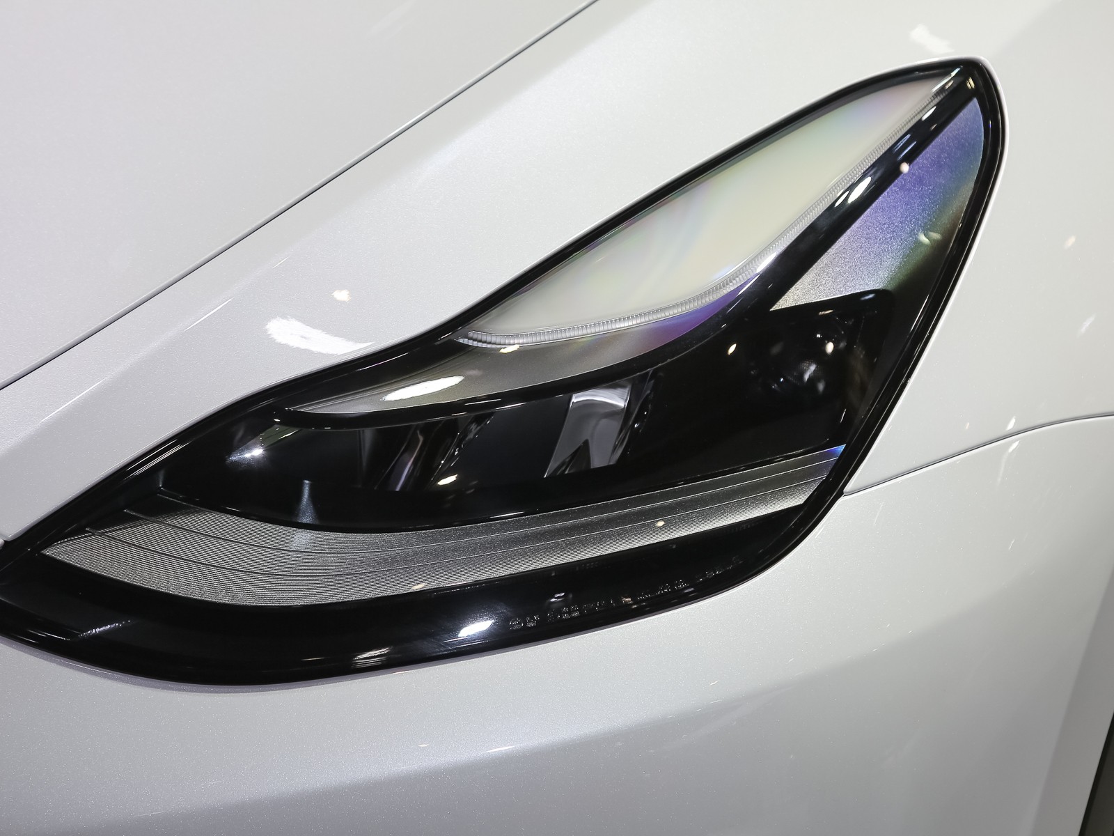 Model Y車展高清大圖