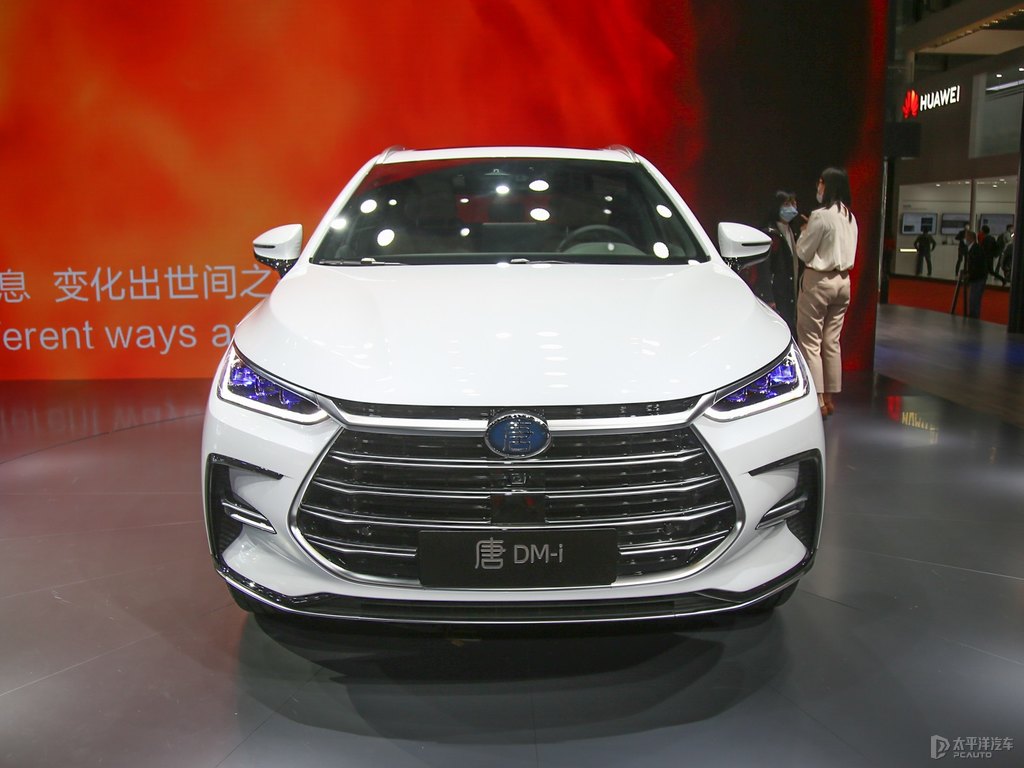 雪域白唐新能源整車外觀外觀圖片
