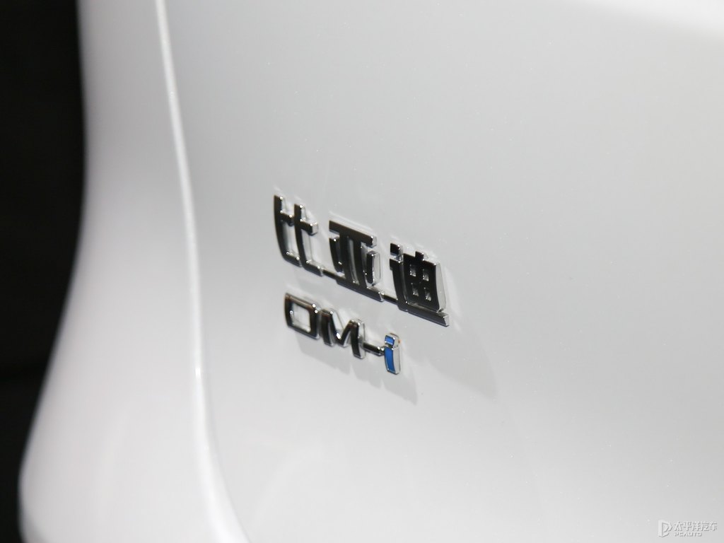 雪域白唐新能源車尾外觀圖片