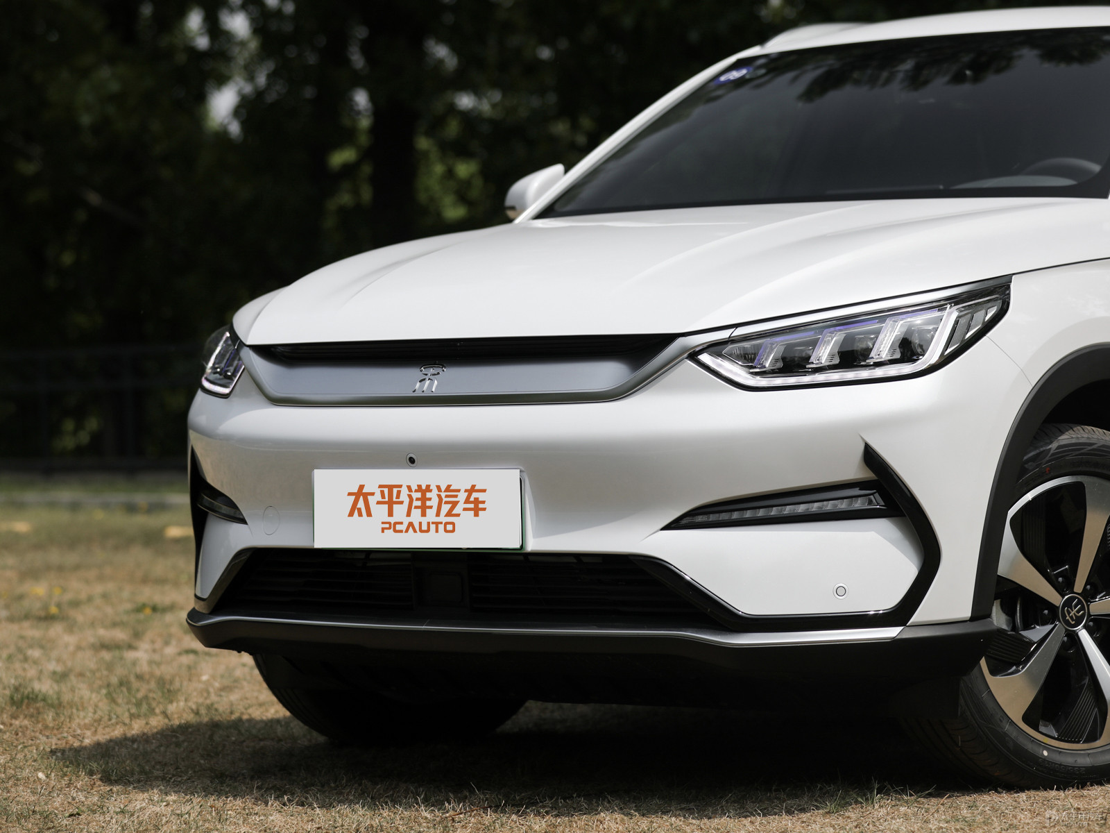 宋PLUS新能源外觀高清大圖
