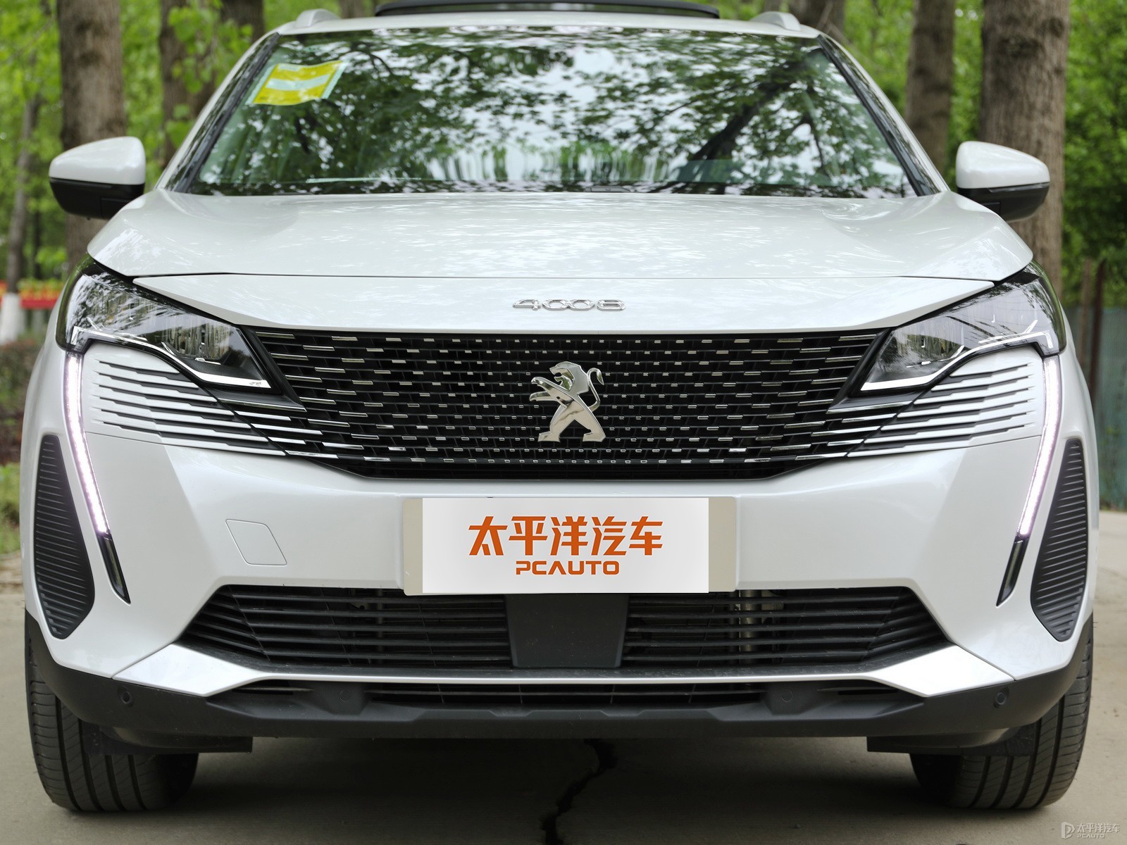 標(biāo)致4008外觀高清大圖