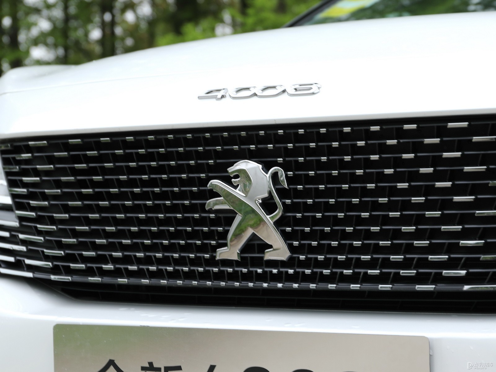 標(biāo)致4008外觀高清大圖