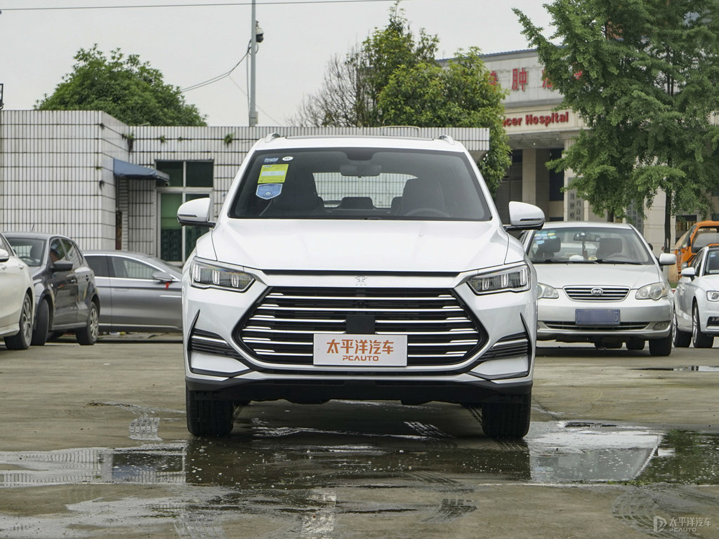 雪域白宋Pro整車外觀外觀圖片