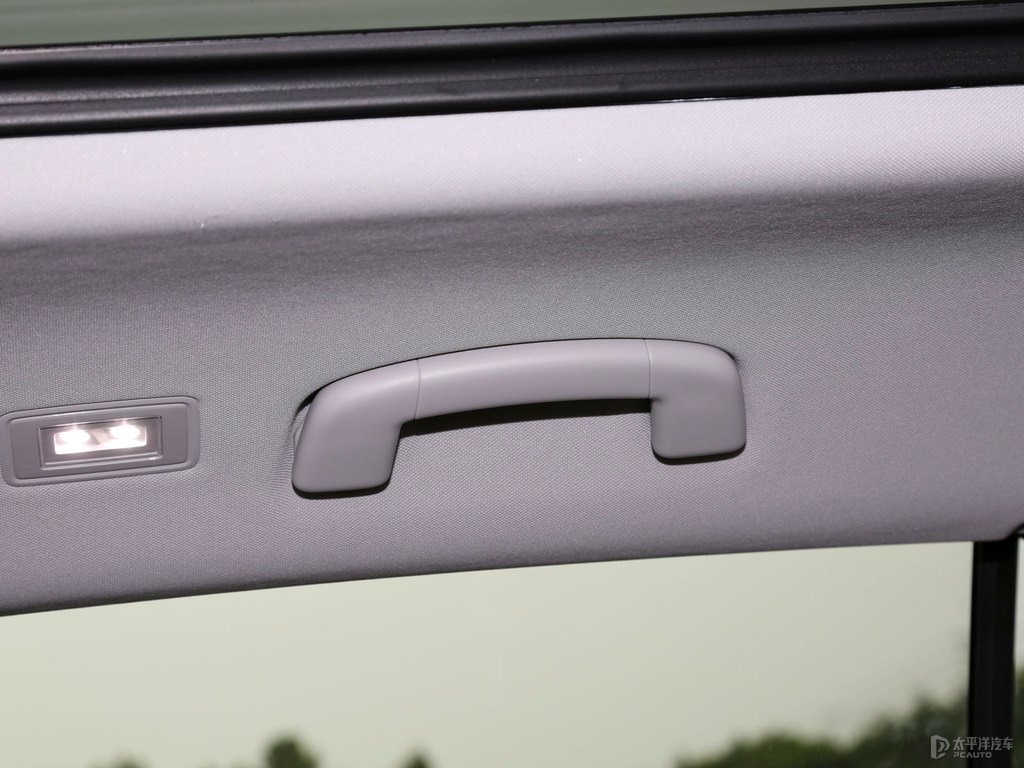 碳晶灰途昂X車廂內(nèi)飾圖片
