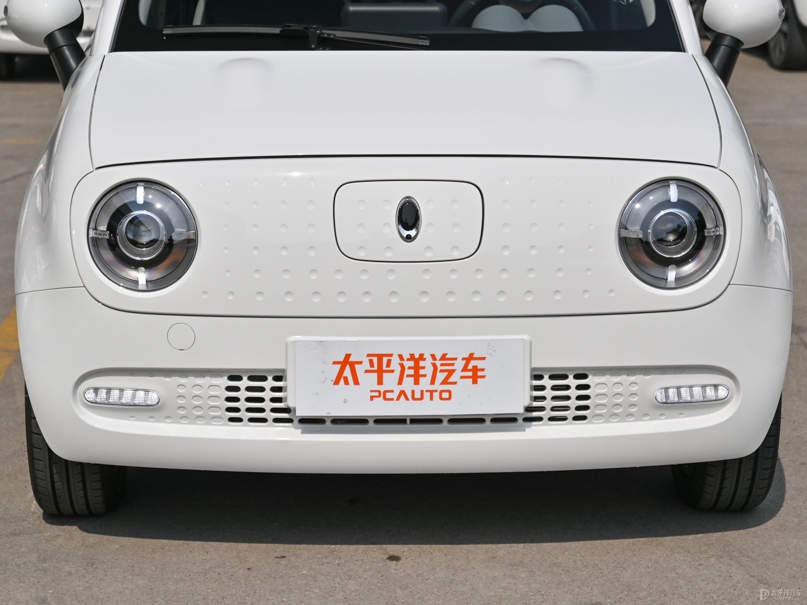 歐拉黑貓外觀高清大圖