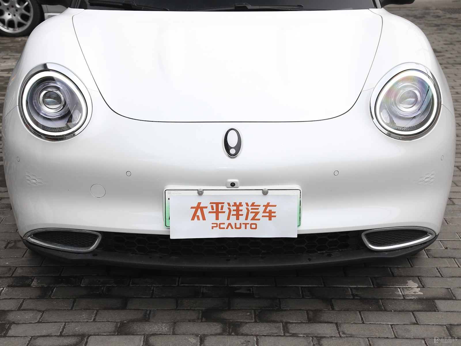 歐拉好貓外觀高清大圖