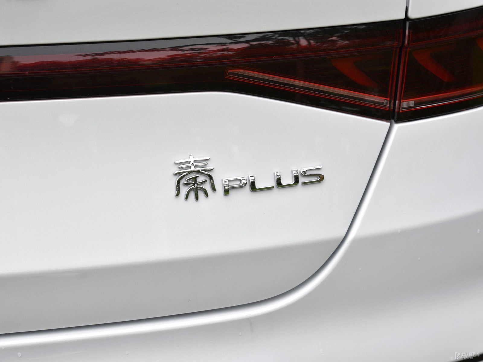 秦PLUS外觀高清大圖