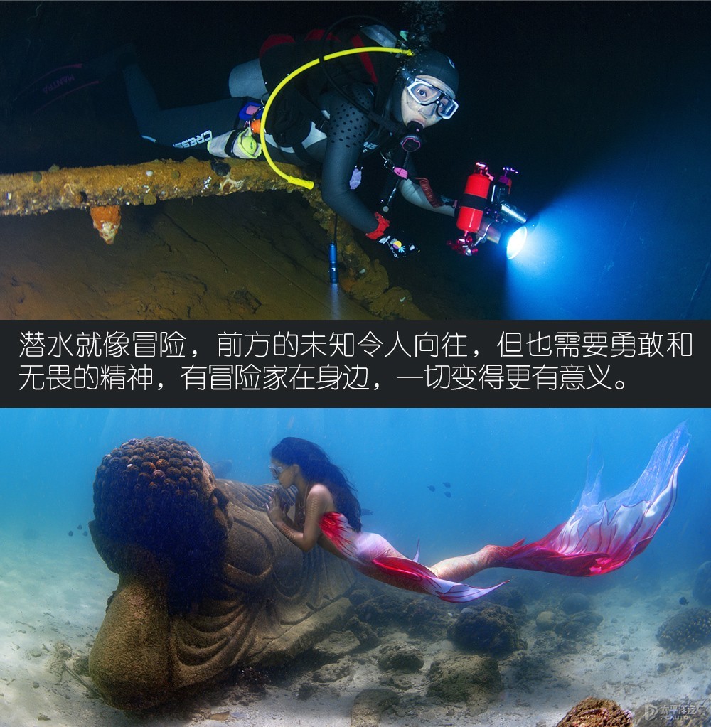 冒險家圖解高清大圖