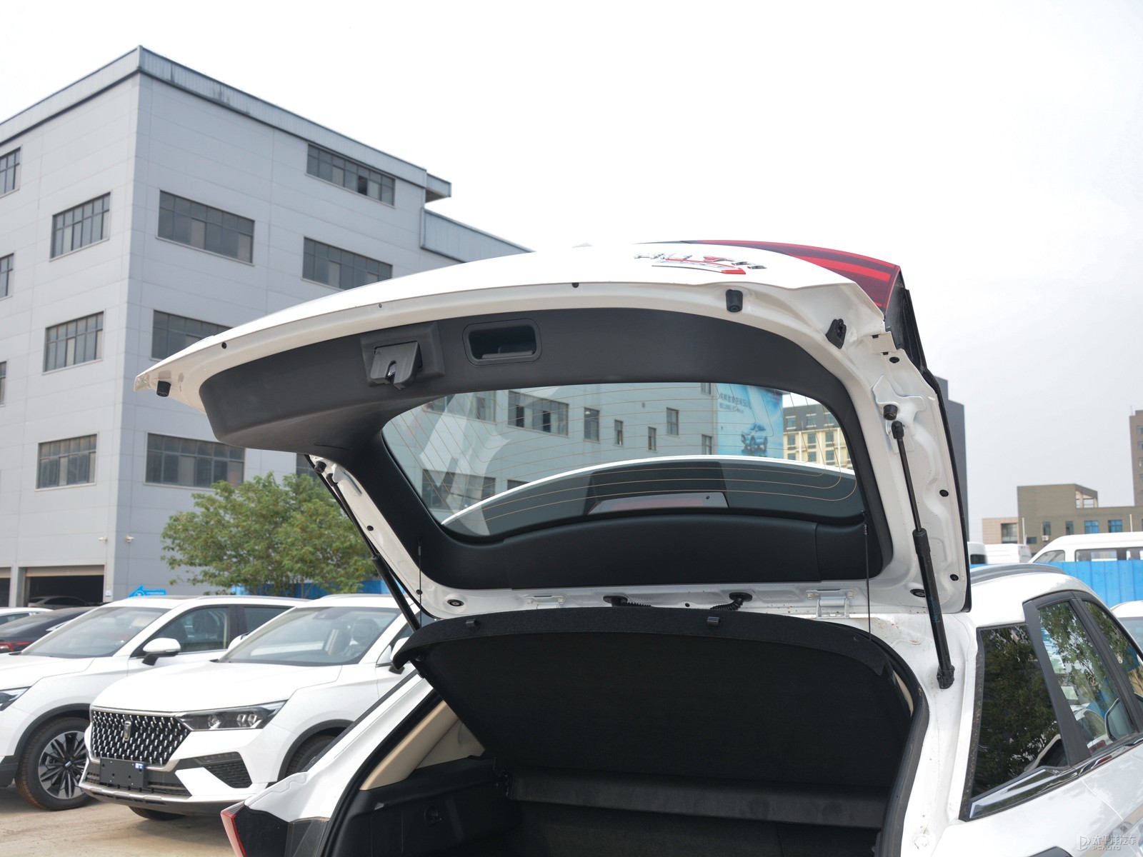 奔騰T77空間高清大圖