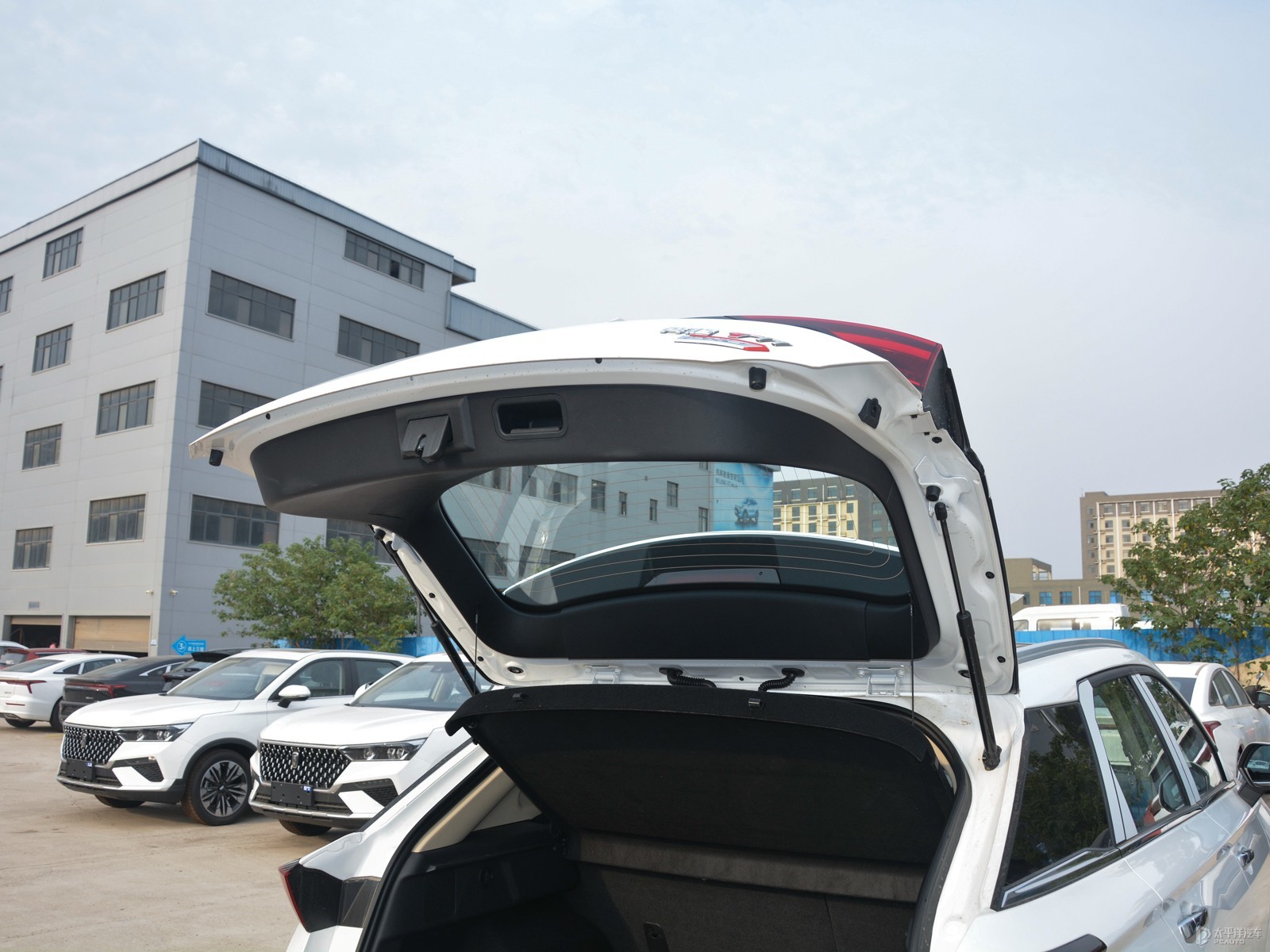 奔騰T77空間高清大圖