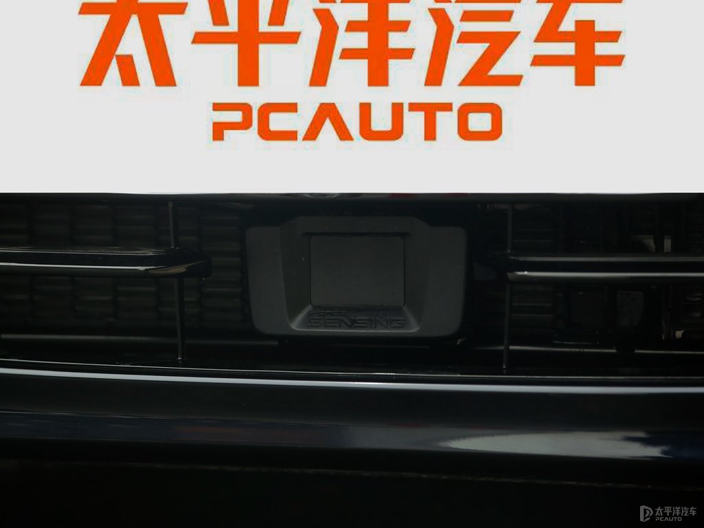 星空藍(lán)雅閣車頭外觀圖片