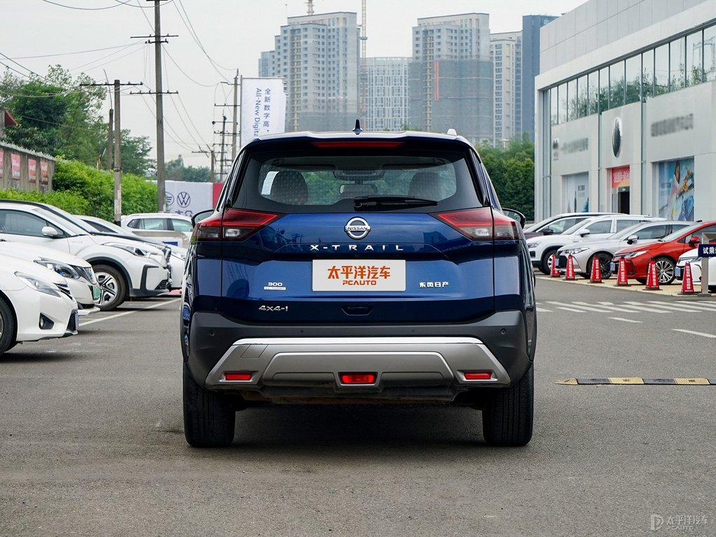 極光藍(lán)奇駿整車外觀外觀圖片