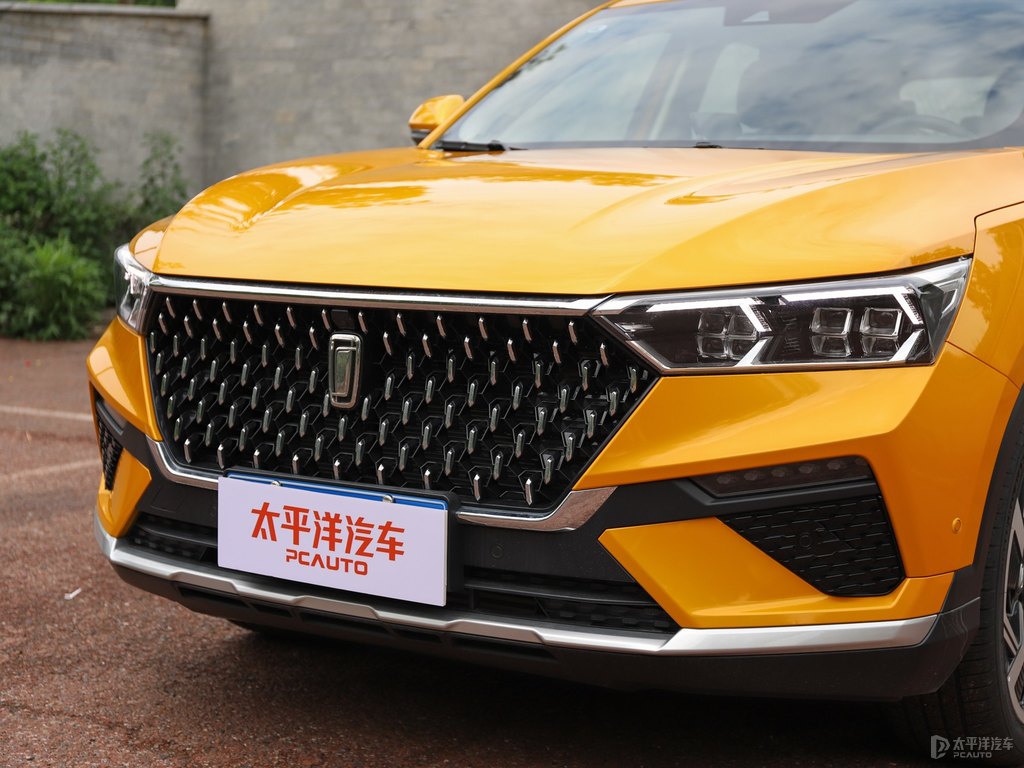 斯木黃奔騰T77車頭外觀圖片