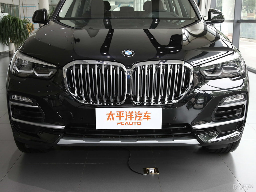 寶石青寶馬X5(進口)車頭外觀圖片