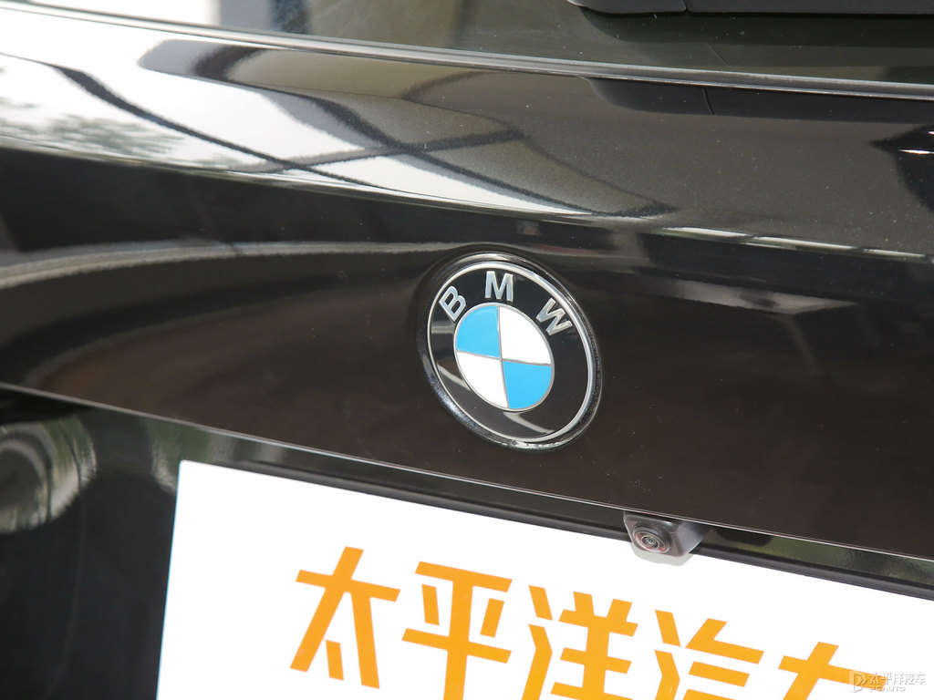 寶石青寶馬X5(進口)車尾外觀圖片