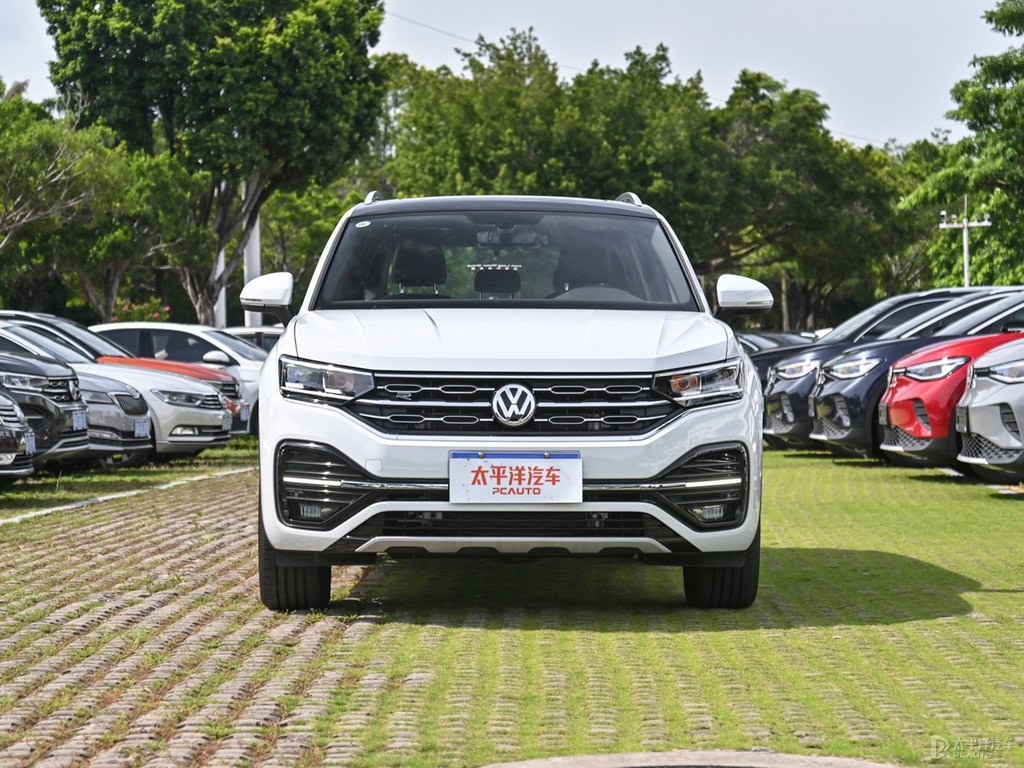 極地白探岳整車外觀外觀圖片