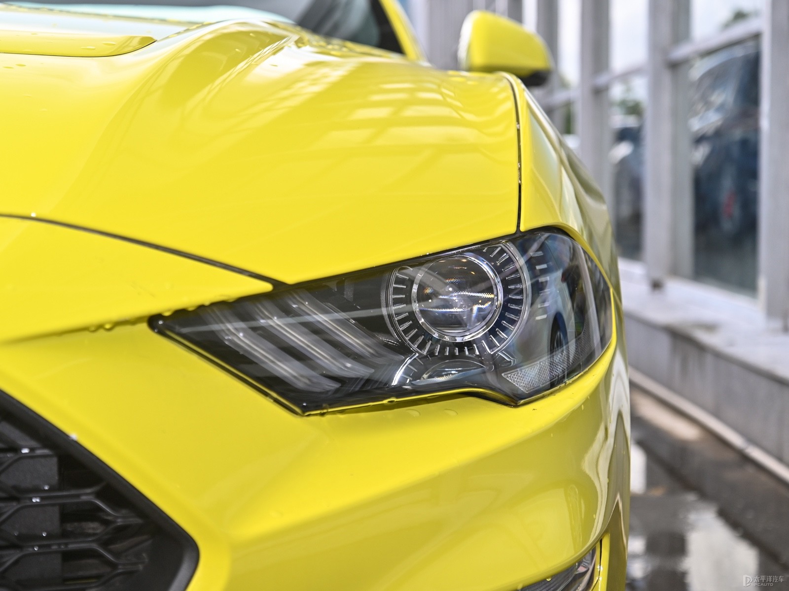 福特Mustang外觀高清大圖