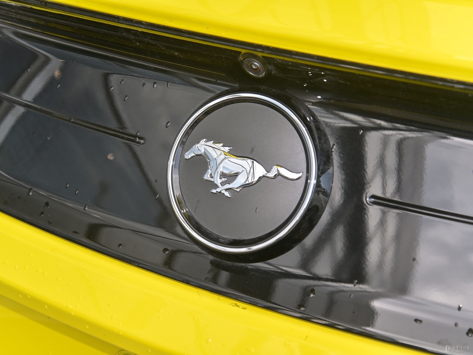 福特Mustang外觀高清大圖