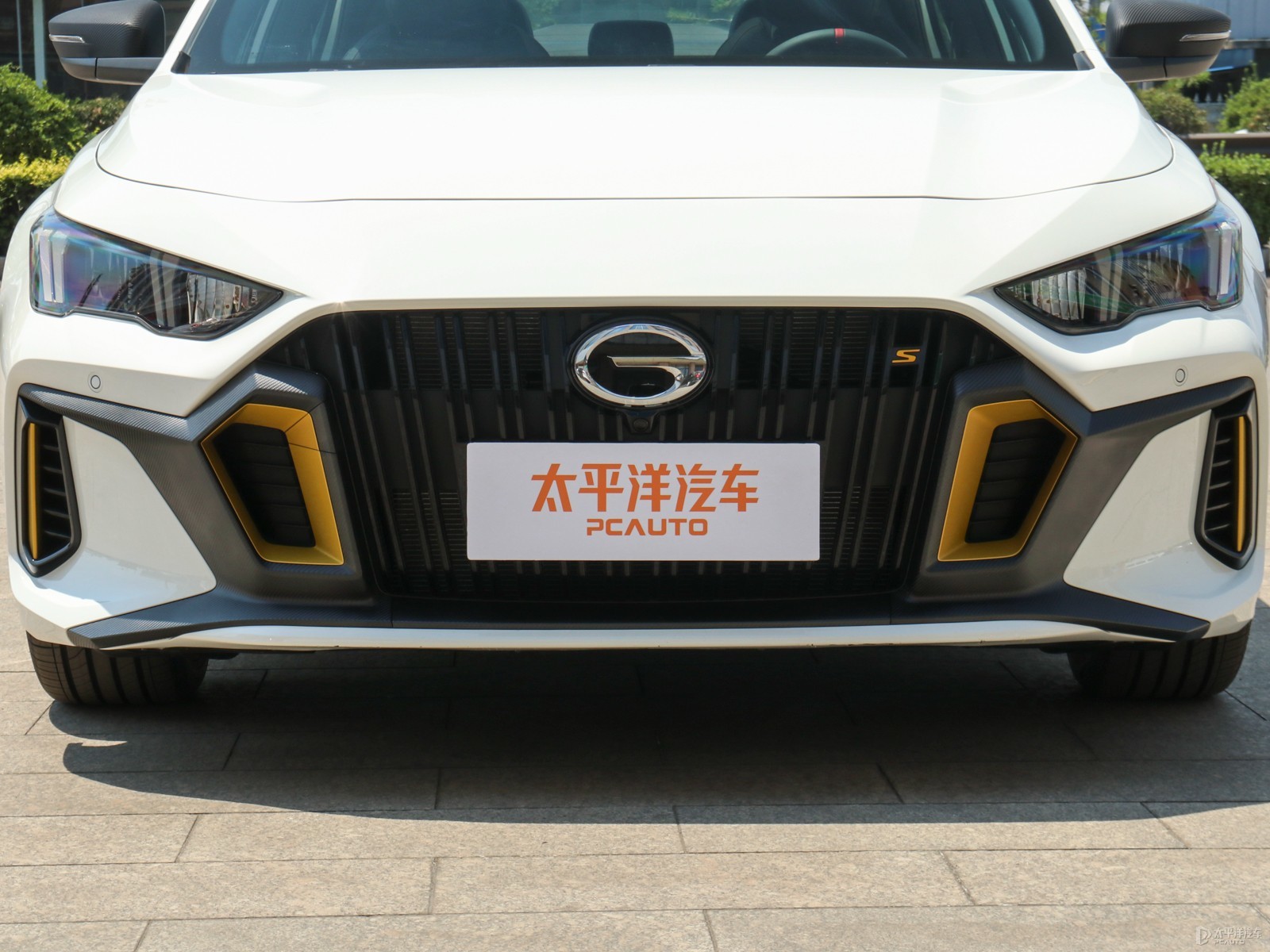 影豹外觀高清大圖