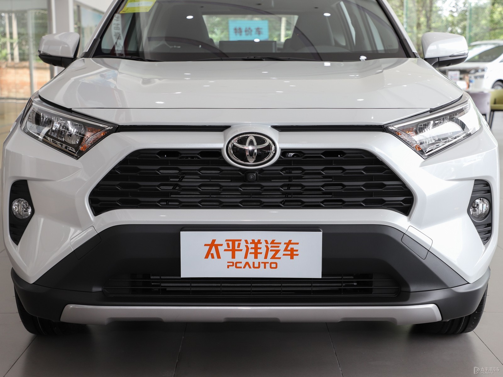 RAV4榮放外觀高清大圖