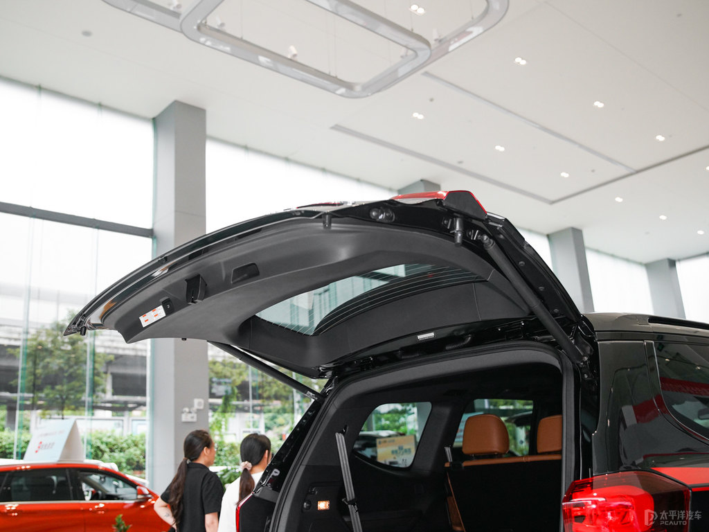 ʯͨMAXUS D90 ProgDƬ