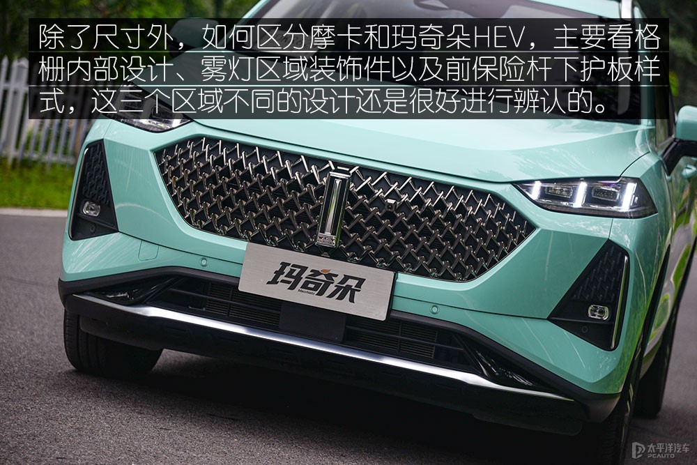 瑪奇朵DHT圖解高清大圖