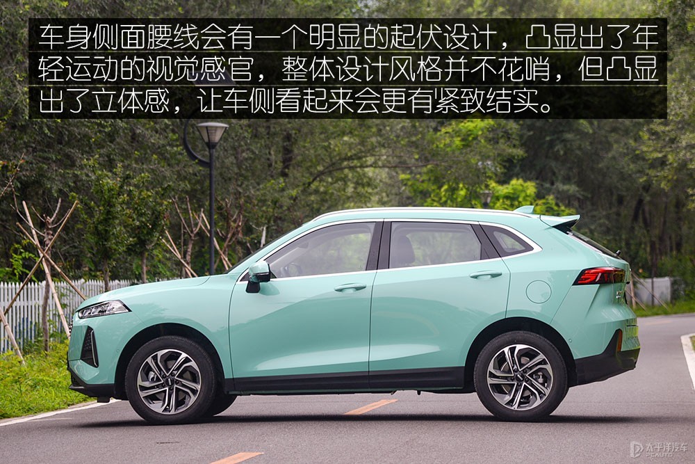 瑪奇朵DHT圖解高清大圖