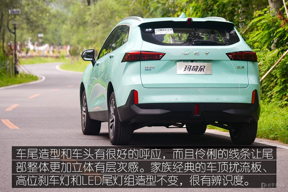 瑪奇朵DHT圖解高清大圖