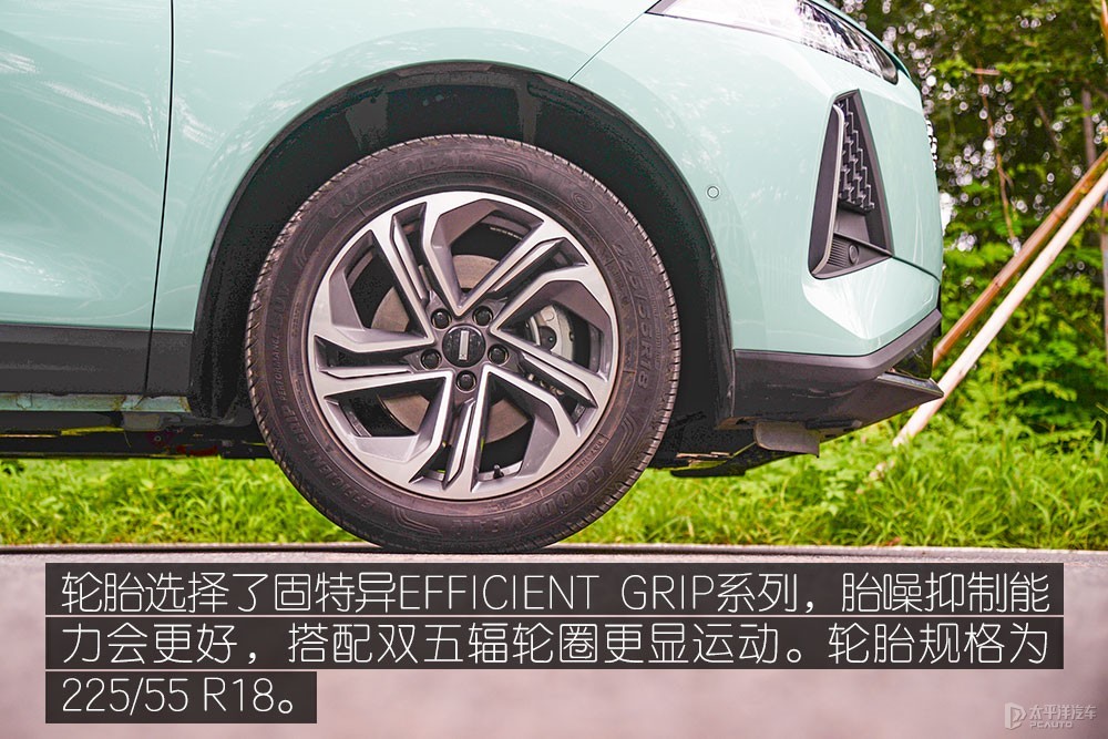 瑪奇朵DHT圖解高清大圖