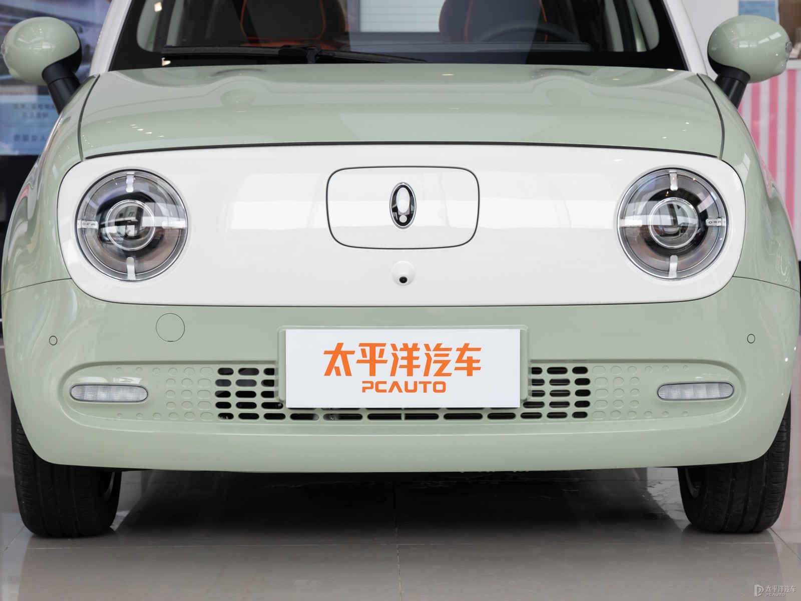 歐拉黑貓外觀高清大圖