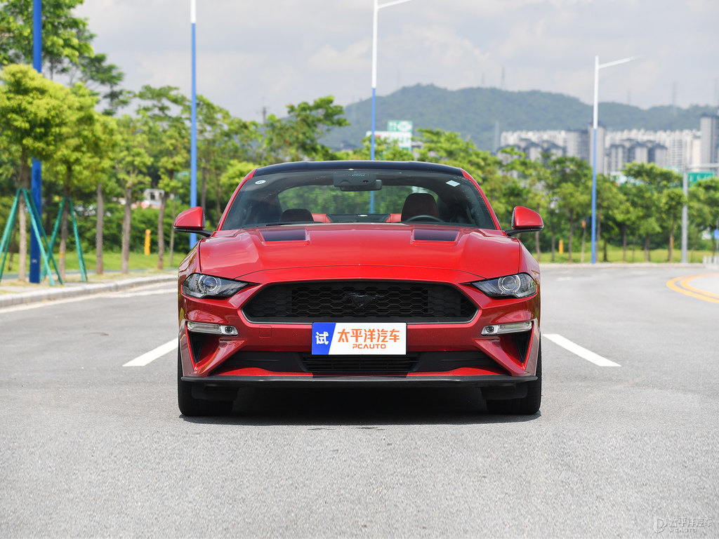 tMustang܇^^DƬ