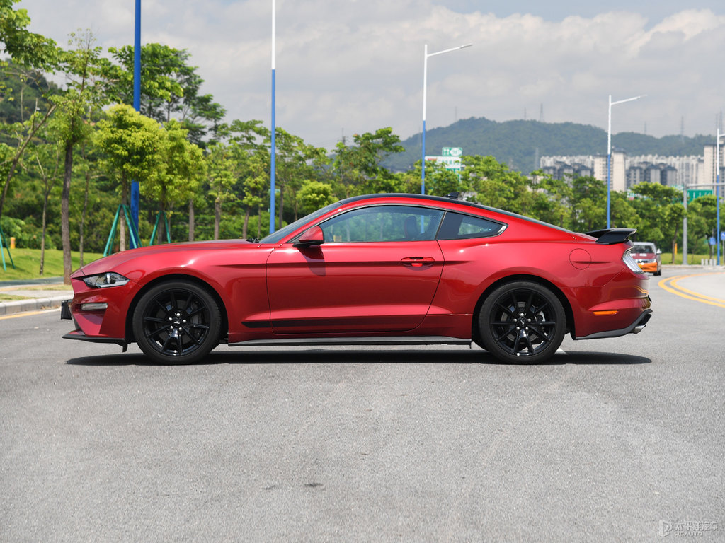 tMustang܇^^DƬ