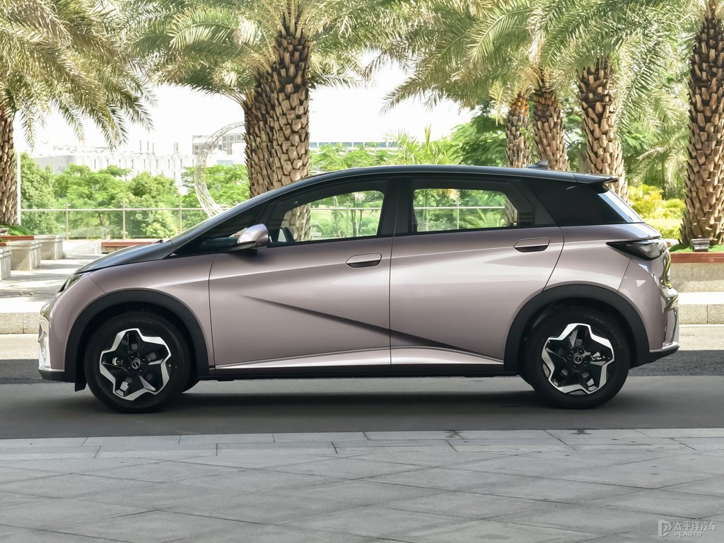 貝貝灰+噗噗粉海豚整車外觀外觀圖片
