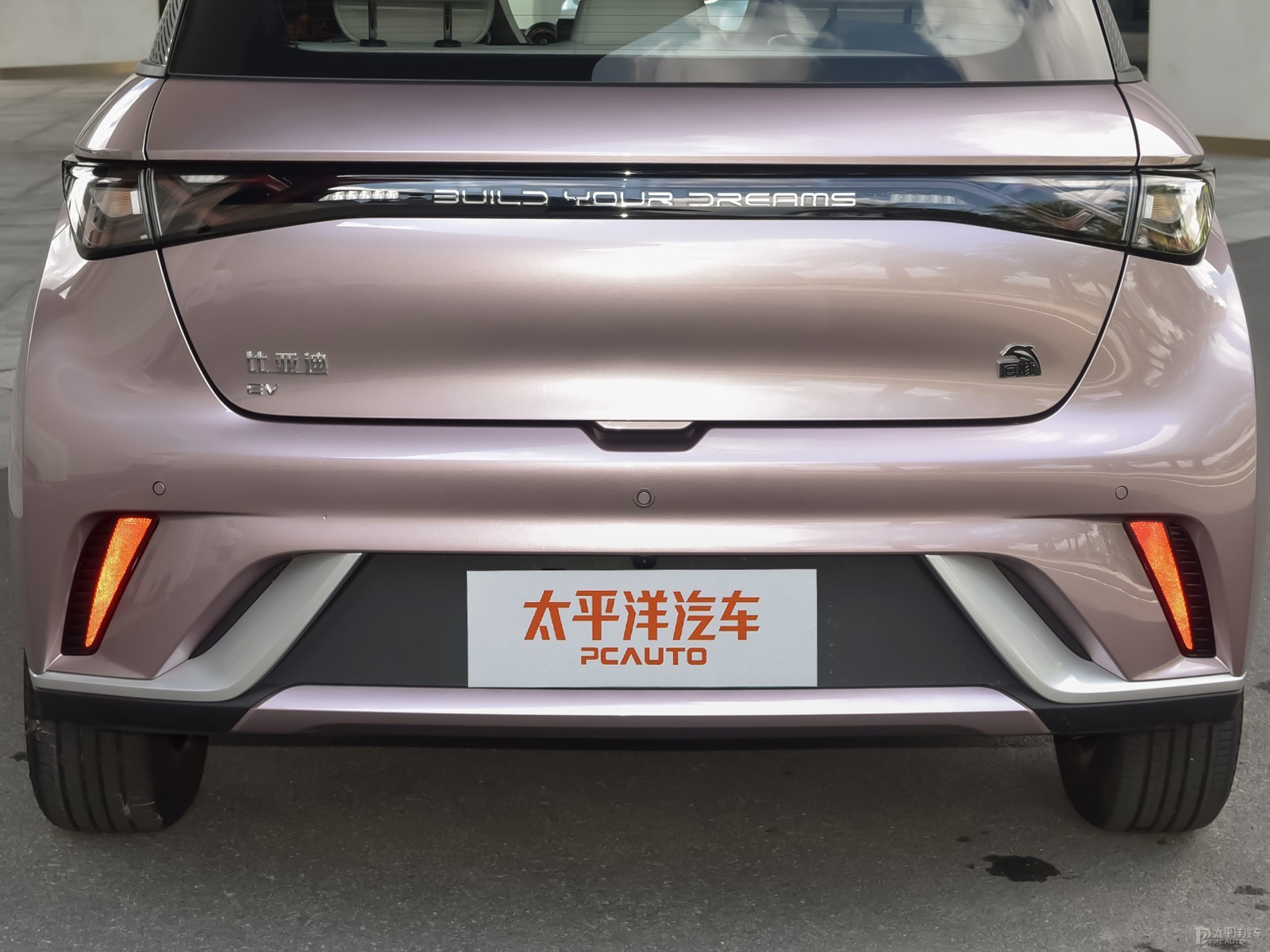 海豚外觀高清大圖