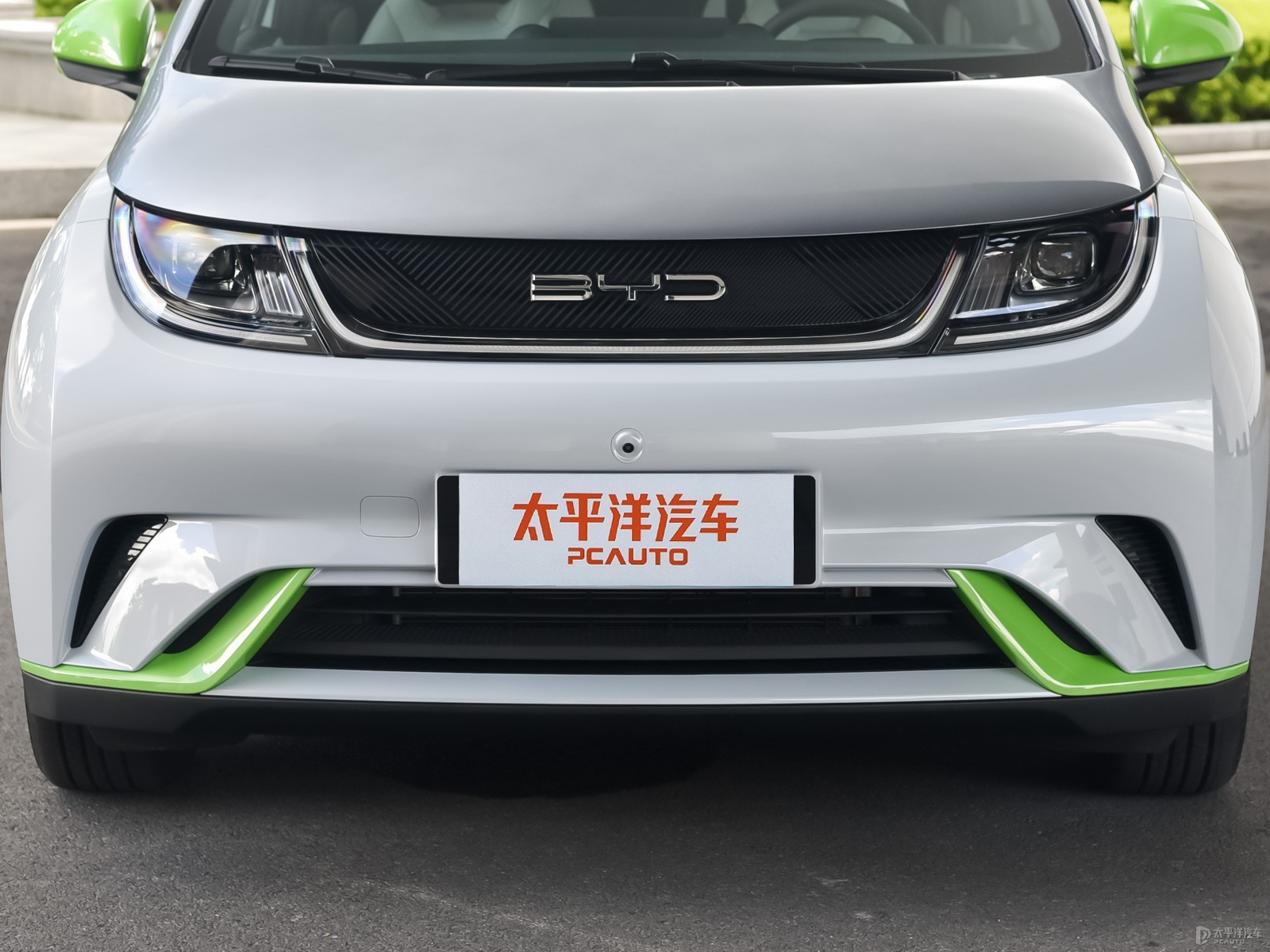 海豚外觀高清大圖