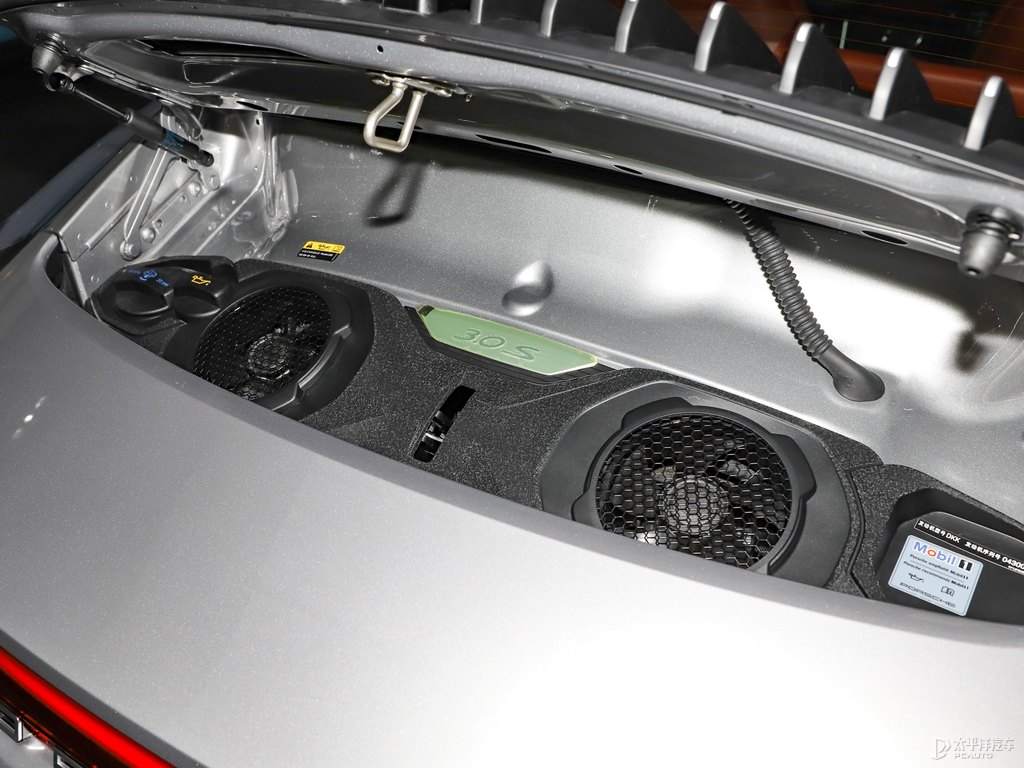 GT銀保時捷911發(fā)動機其它細節(jié)圖片