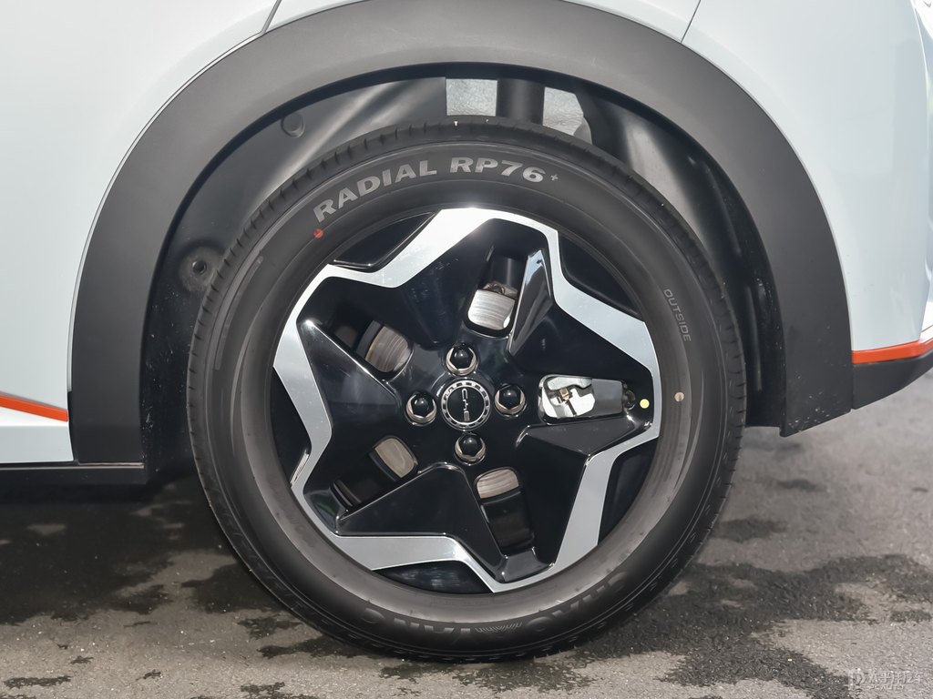 嘟嘟白+蜜蜜橙海豚車身外觀圖片